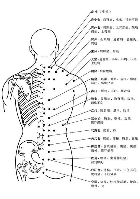 背穴|背部穴道圖大全，人體背部穴道按摩指壓、酸痛反射穴位詳解